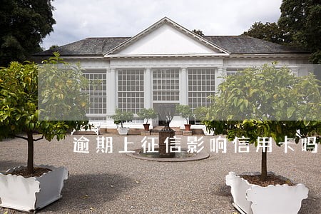 逾期上征信影响信用卡吗