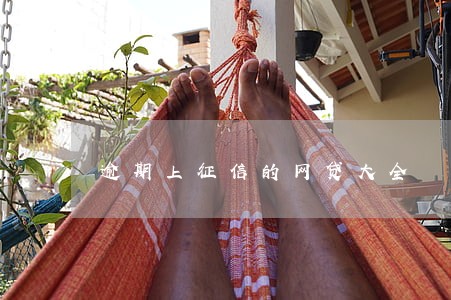 逾期上征信的网贷大全 逾期上征信的网贷大全