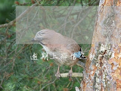 逾期上征信还款5年后还未消除 逾期上征信还款5年后还未消除