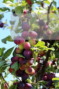 逾期上征信还能到银行开户吗 逾期上征信还能到银行开户吗