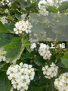 逾期上报p2p会怎么样 逾期上报p2p会怎么样