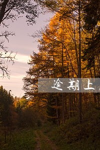逾期上显示2后面都显示0 逾期上显示2后面都显示0