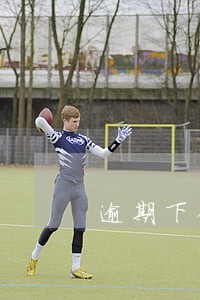 逾期下住房贷款 逾期下住房贷款
