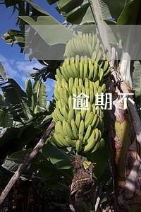 逾期不上征信的网贷大全 逾期不上征信的网贷大全