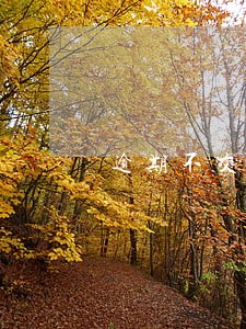 逾期不交公积金贷款 逾期不交公积金贷款