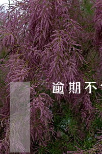逾期不候还能银行贷款吗 逾期不候还能银行贷款吗