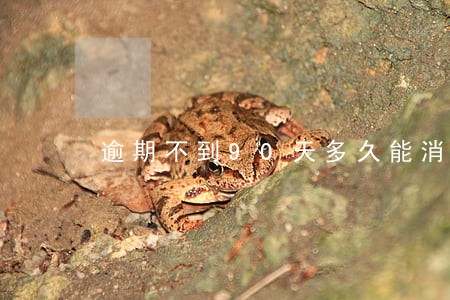 逾期不到90天多久能消除 逾期不到90天多久能消除