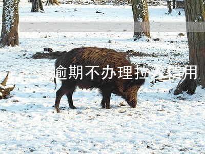 逾期不办理拉入信用 逾期不办理拉入信用