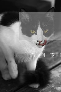 逾期不回访的贷款 逾期不回访的贷款