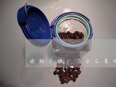 逾期不够5万会立案吗 逾期不够5万会立案吗