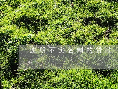逾期不实名制的贷款 逾期不实名制的贷款