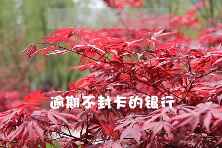 逾期不封卡的银行 逾期不封卡的银行