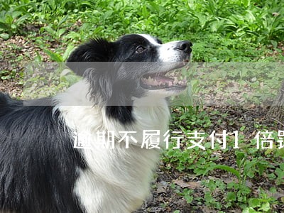 逾期不履行支付1倍罚息 逾期不履行支付1倍罚息