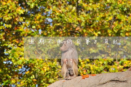 逾期不缴纳自第8日起 逾期不缴纳自第8日起