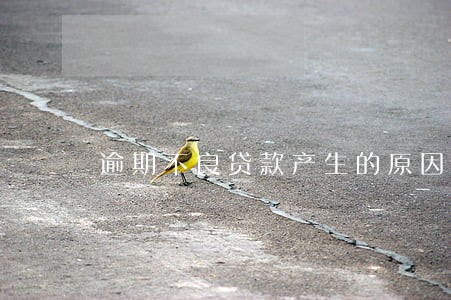 逾期不良贷款产生的原因 逾期不良贷款产生的原因