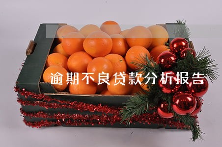 逾期不良贷款分析报告 逾期不良贷款分析报告
