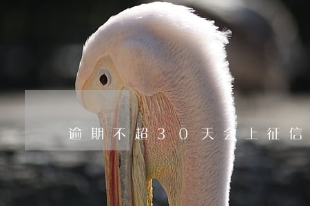 逾期不超30天会上征信吗 逾期不超30天会上征信吗