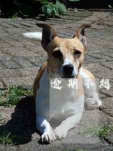 逾期不超过12个小时有记录吗 逾期不超过12个小时有记录吗