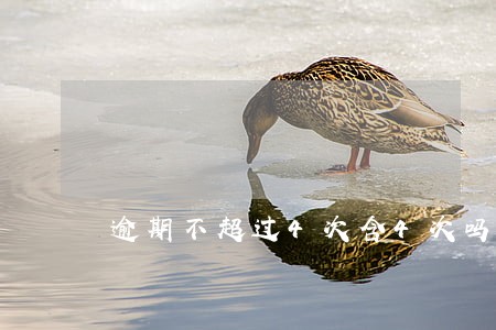 逾期不超过4次含4次吗 逾期不超过4次含4次吗