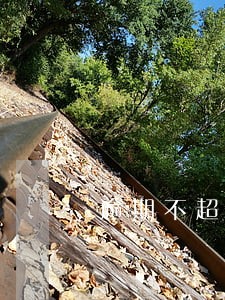 逾期不超过90天影响 逾期不超过90天影响