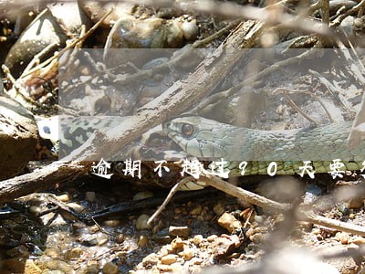 逾期不超过90天要多久消除 逾期不超过90天要多久消除