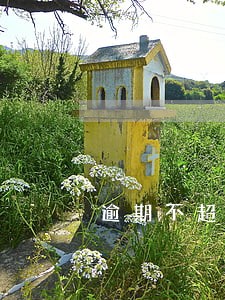 逾期不超过9个月是什么意思 逾期不超过9个月是什么意思