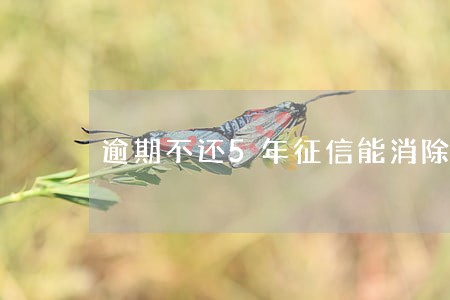 逾期不还5年征信能消除吗 逾期不还5年征信能消除吗