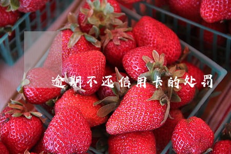 逾期不还信用卡的处罚