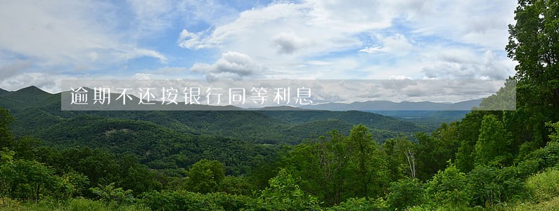 逾期不还按银行同等利息 逾期不还按银行同等利息
