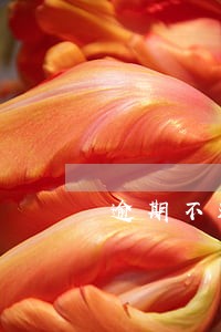 逾期不还贷款会冻结 逾期不还贷款会冻结
