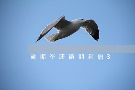逾期不还逾期利息3 逾期不还逾期利息3