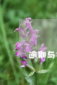 逾期与银行协商还款只还本金 逾期与银行协商还款只还本金