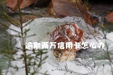 逾期两万信用卡怎么办 逾期两万信用卡怎么办