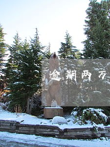 逾期两万多两年没还能办信用卡吗 逾期两万多两年没还能办信用卡吗