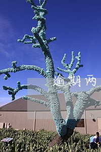 逾期两个月了还能还款吗网贷 逾期两个月了还能还款吗网贷