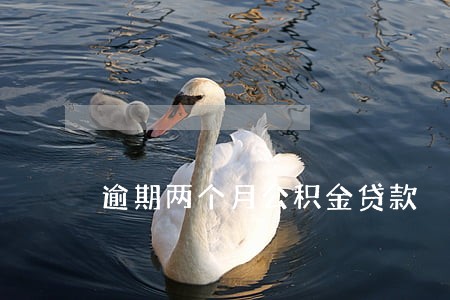 逾期两个月公积金贷款 逾期两个月公积金贷款