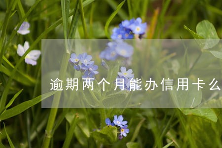逾期两个月能办信用卡么