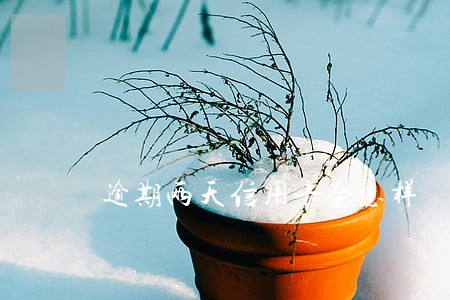 逾期两天信用卡会怎样 逾期两天信用卡会怎样