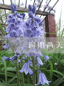 逾期两天多扣100 逾期两天多扣100
