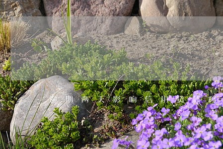 逾期两天影响信用贷款吗 逾期两天影响信用贷款吗