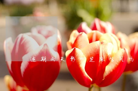 逾期两天影响芝麻信用吗 逾期两天影响芝麻信用吗