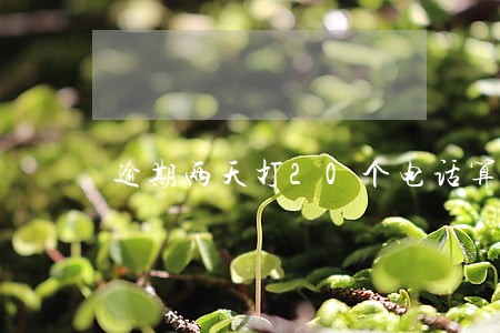 逾期两天打20个电话算正规吗 逾期两天打20个电话算正规吗