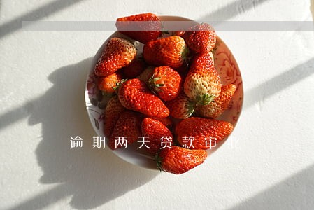 逾期两天贷款审批 逾期两天贷款审批