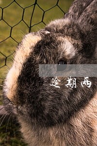 逾期两天还款影响信用吗 逾期两天还款影响信用吗