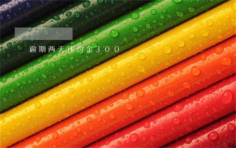 逾期两天违约金300 逾期两天违约金300
