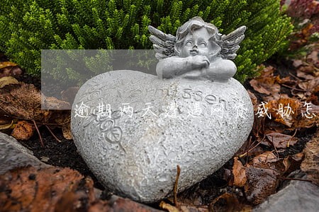 逾期两天遭遇网贷威胁怎么办