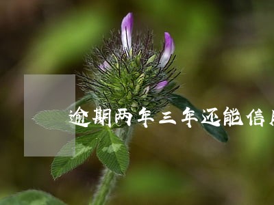 逾期两年三年还能信用贷款 逾期两年三年还能信用贷款