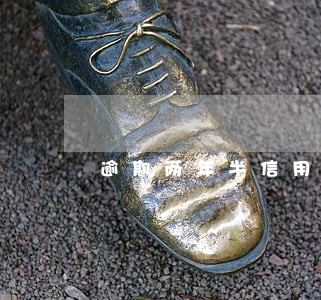 逾期两年半信用良好还款 逾期两年半信用良好还款