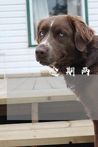 逾期两年本金7万要还10万