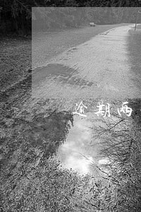 逾期两年的广发信用卡